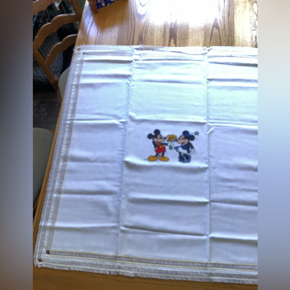 cross stitched blanket Mickey & Minnie